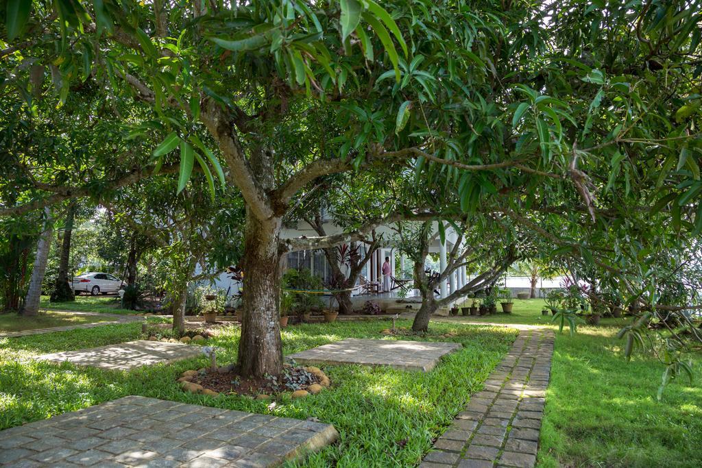 Orchid Lake View Homestay Alappuzha Exteriér fotografie